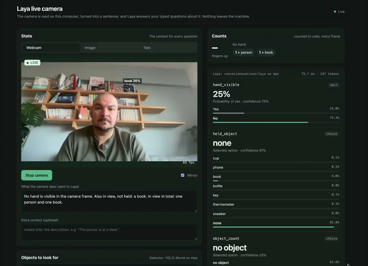 Detección de manos y objetos en tiempo real